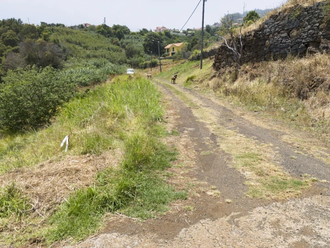 Terreno para Venda em Santa Cruz Foto 3