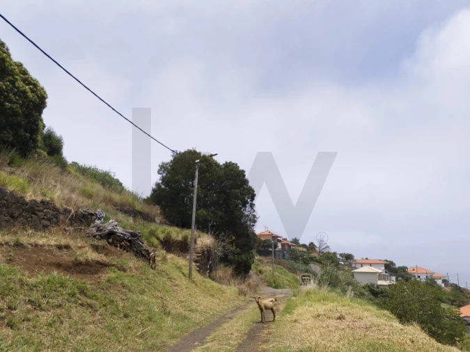 Terreno para Venda em Santa Cruz Foto 13