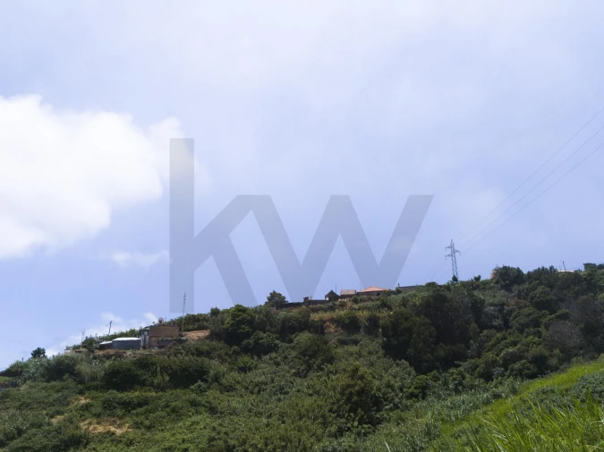 Terreno para Venda em Santa Cruz Foto 9