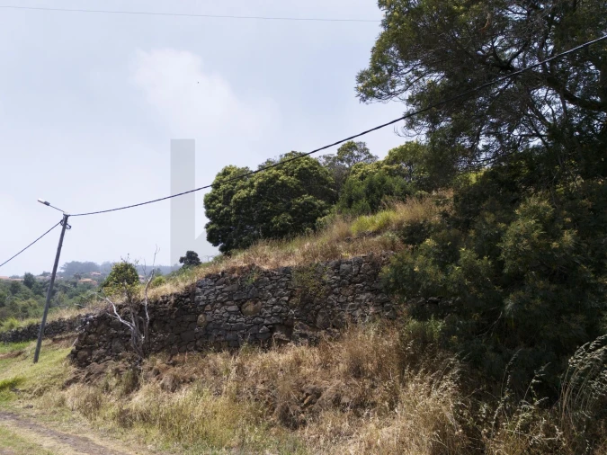 Terreno para Venda em Santa Cruz Foto 5