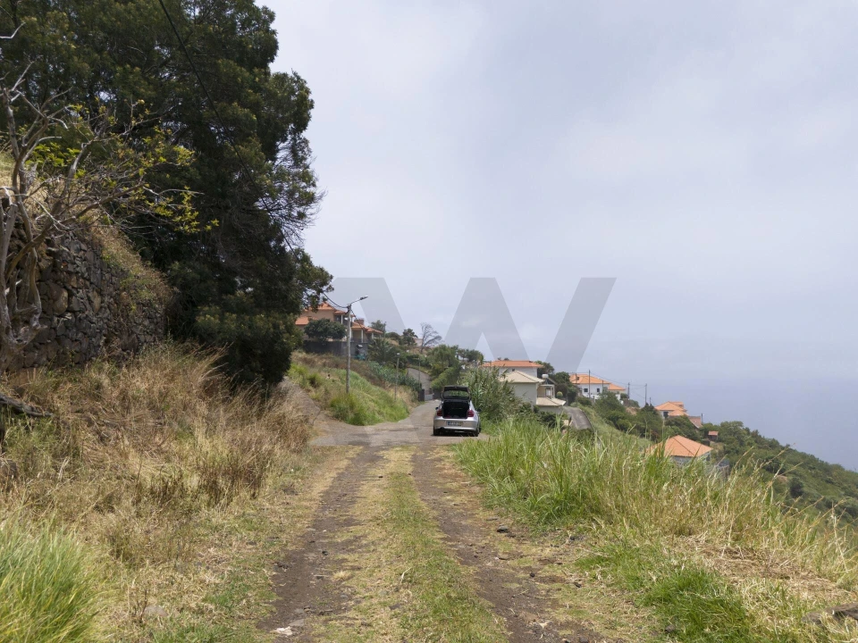 Terreno para Venda em Santa Cruz Foto 17