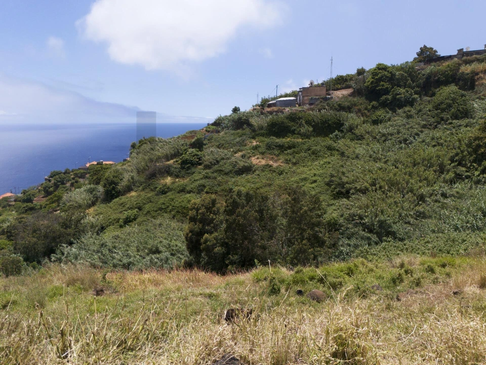 Terreno para Venda em Santa Cruz Foto 4