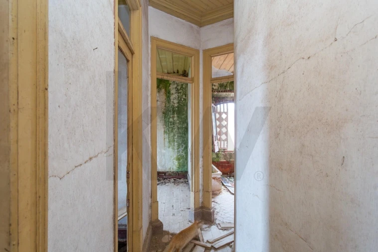 Prédio para Venda em São Luis Foto 30