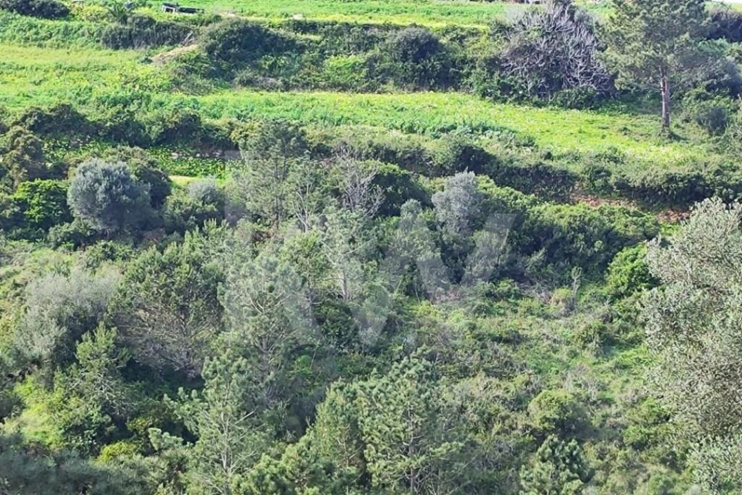 Terreno para Venda em Carvoeira Foto 11