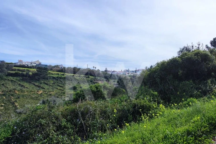 Terreno para Venda em Carvoeira Foto 14