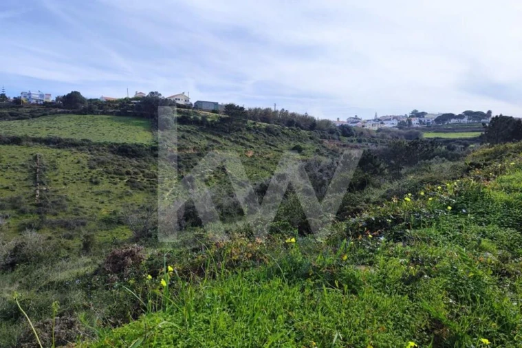 Terreno para Venda em Carvoeira Foto 4