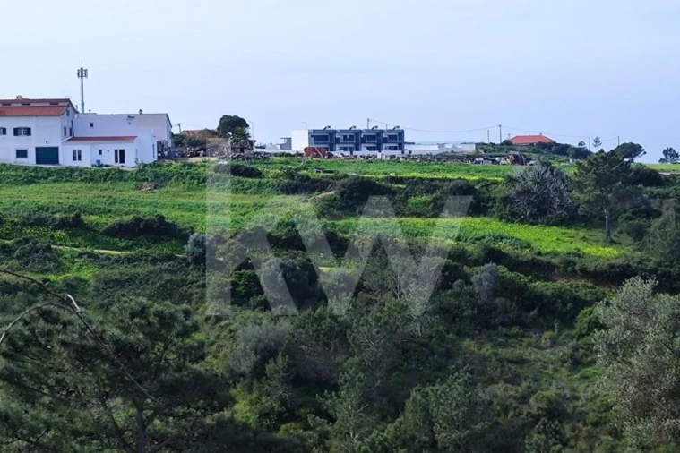 Terreno para Venda em Carvoeira Foto 9