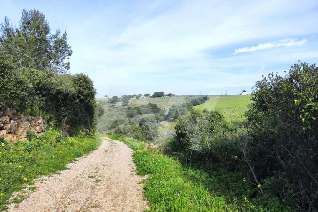 Terreno para Venda em Carvoeira Foto 16