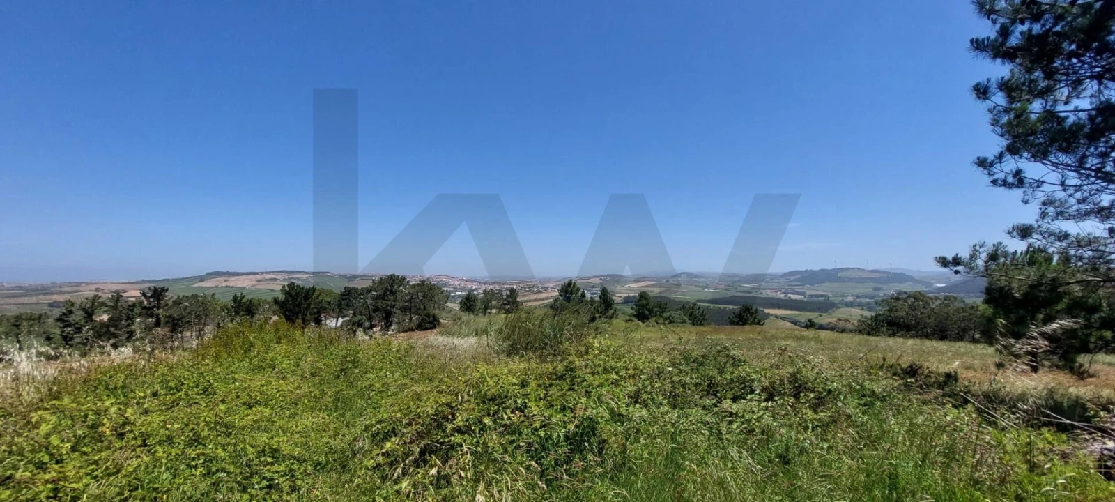 Terreno para Venda em Santo Isidoro Foto 7