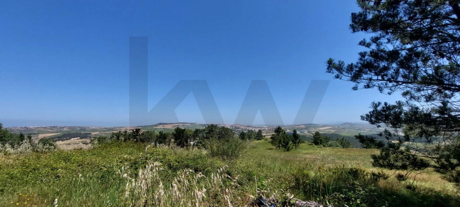 Terreno para Venda em Santo Isidoro Foto 9