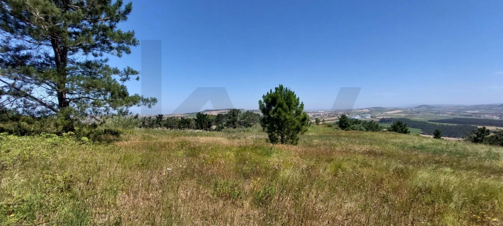 Terreno para Venda em Santo Isidoro Foto 6