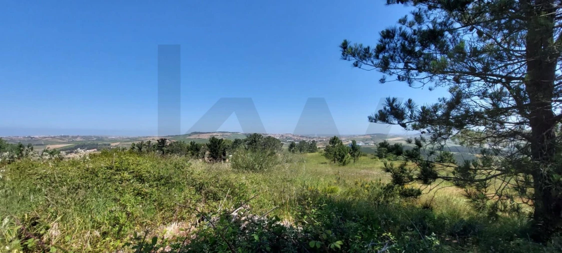 Terreno para Venda em Santo Isidoro Foto 14