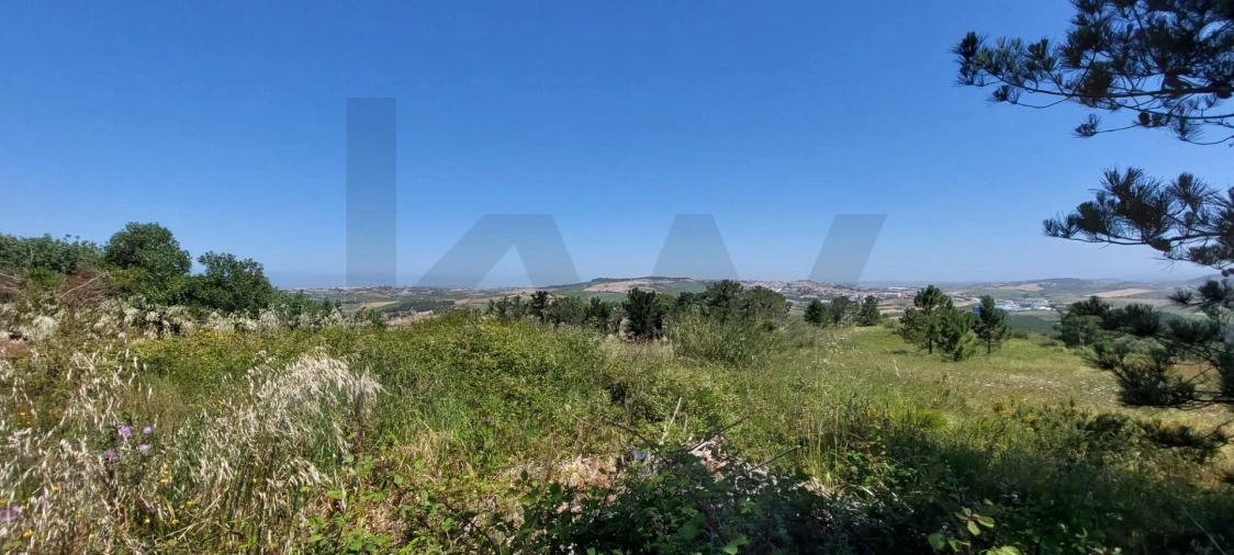 Terreno para Venda em Santo Isidoro Foto 2