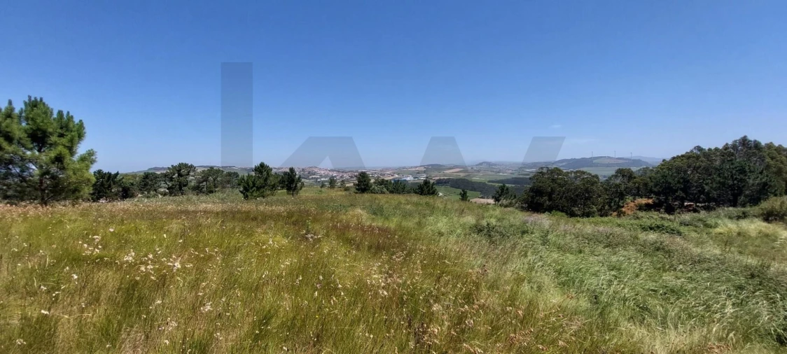 Terreno para Venda em Santo Isidoro Foto 8