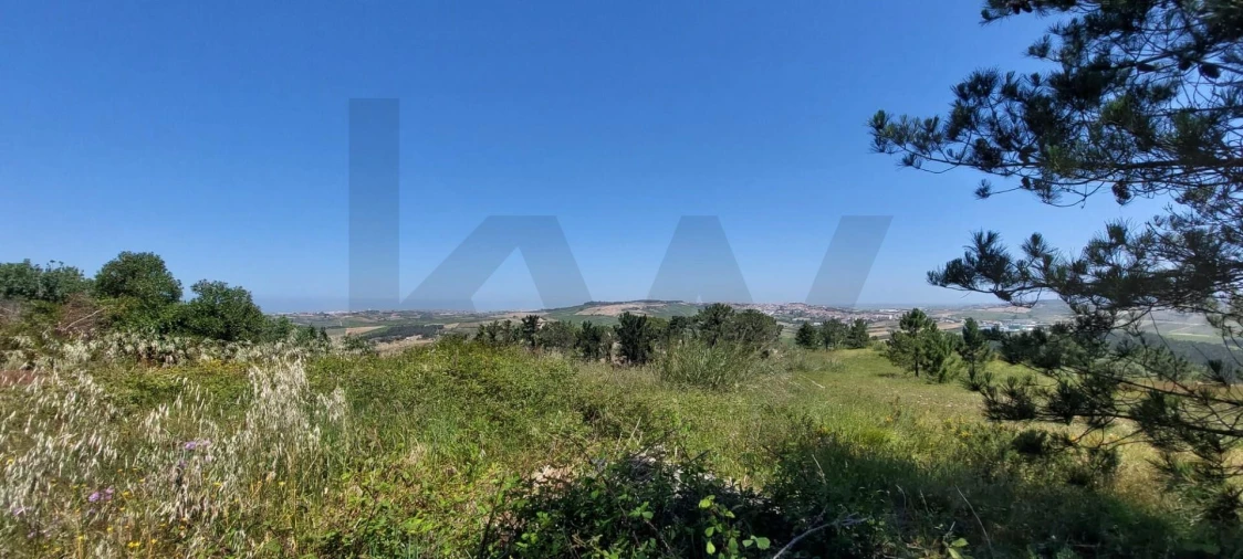 Terreno para Venda em Santo Isidoro Foto 17