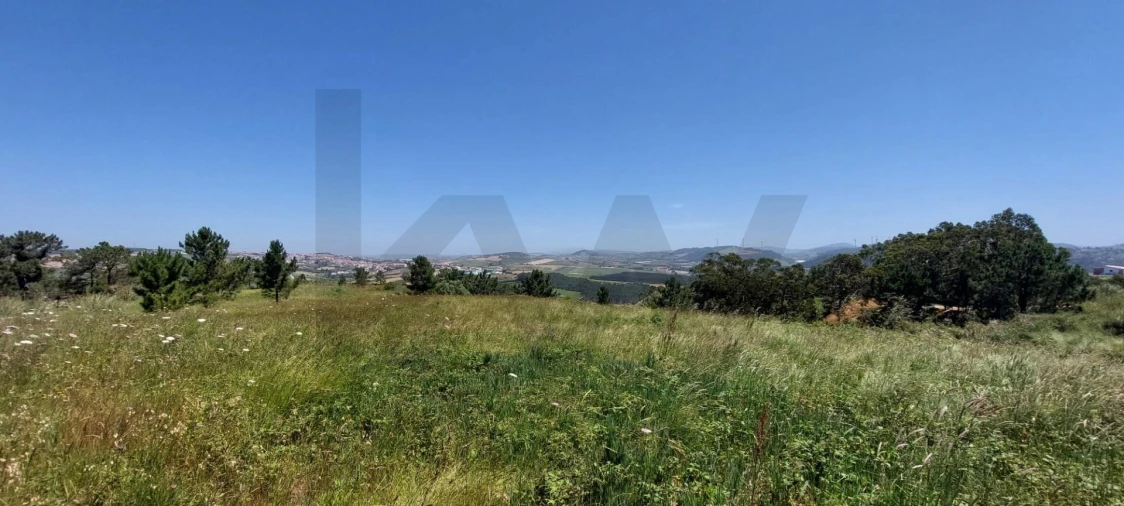 Terreno para Venda em Santo Isidoro Foto 3