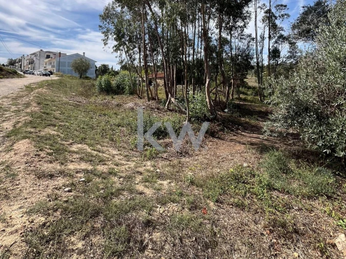 Terreno para Venda em Brasfemes Foto 5