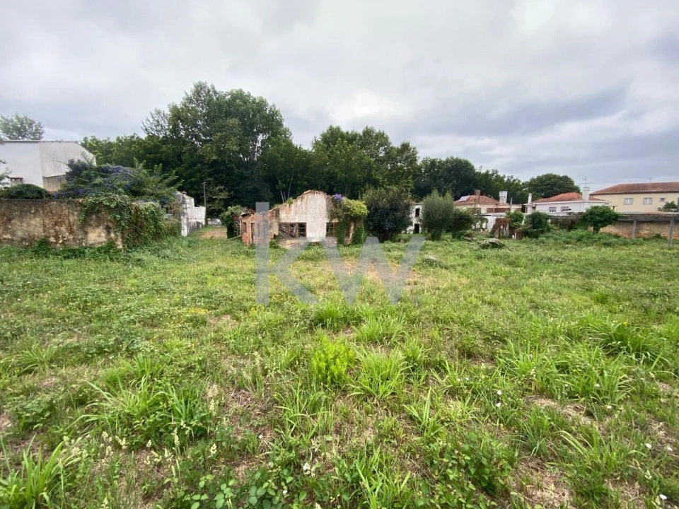 Terreno para Venda em Macinhata do Vouga Foto 18