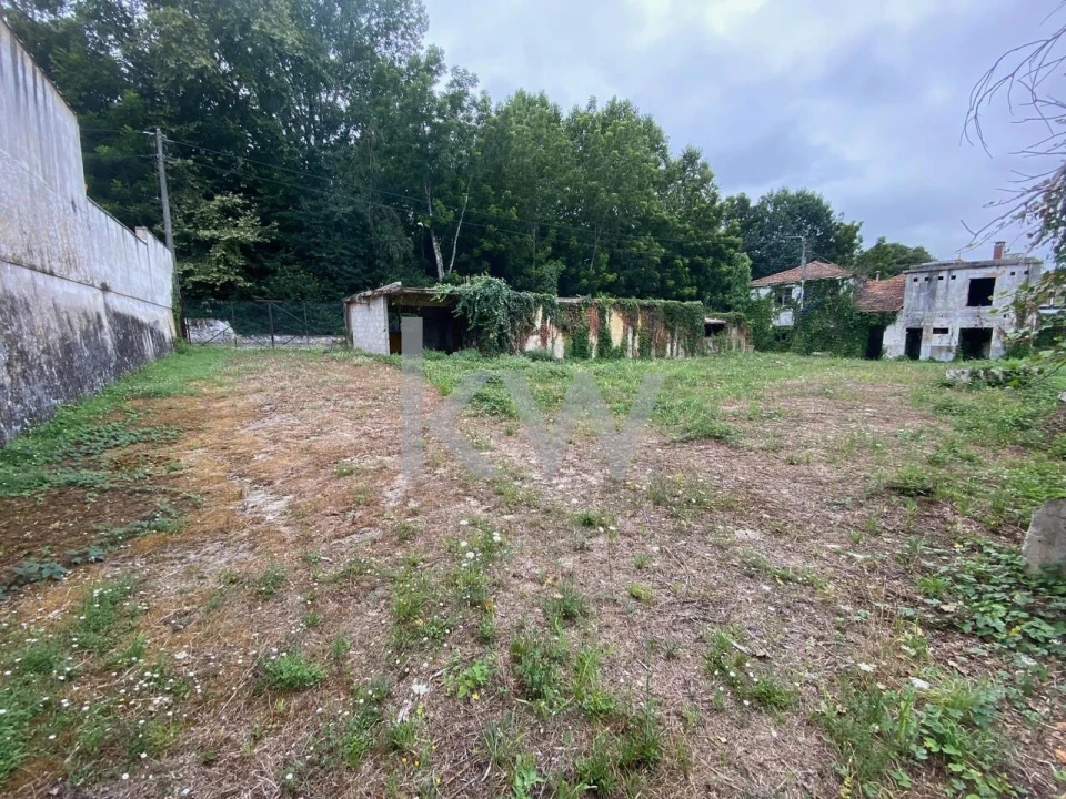 Terreno para Venda em Macinhata do Vouga Foto 20