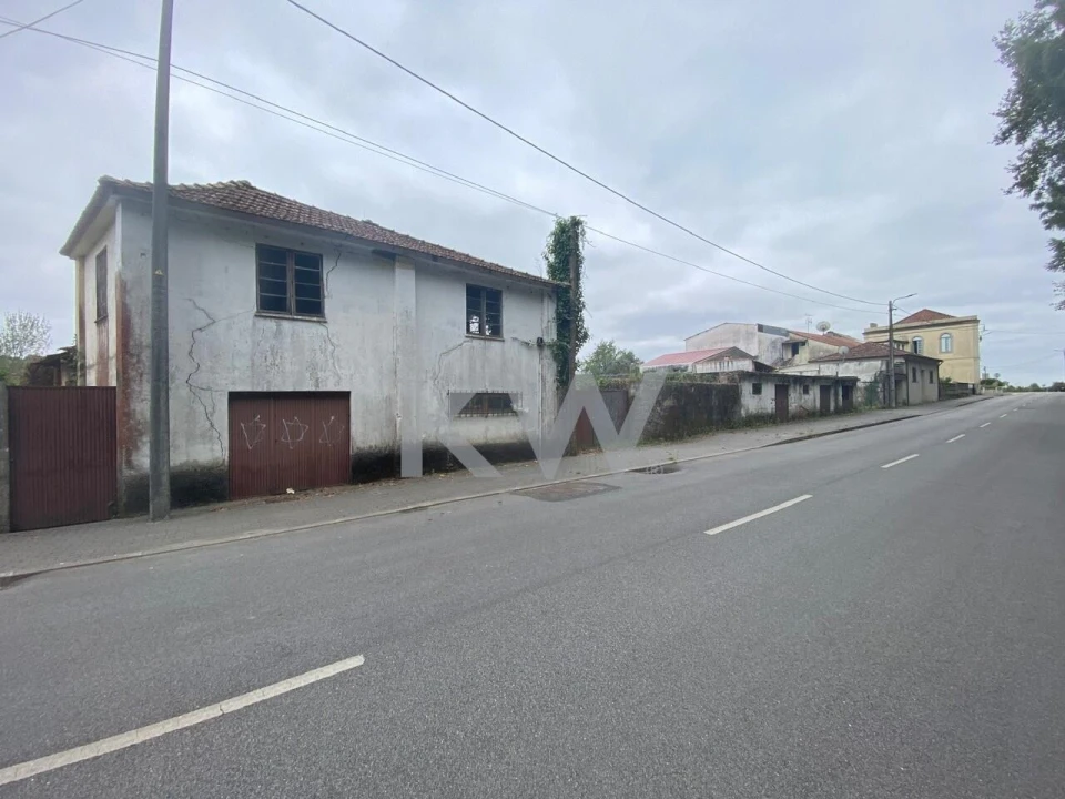 Terreno para Venda em Macinhata do Vouga Foto 4