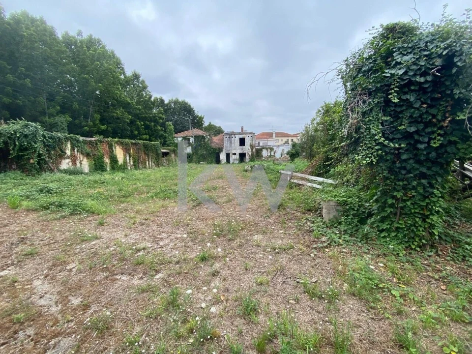 Terreno para Venda em Macinhata do Vouga Foto 21