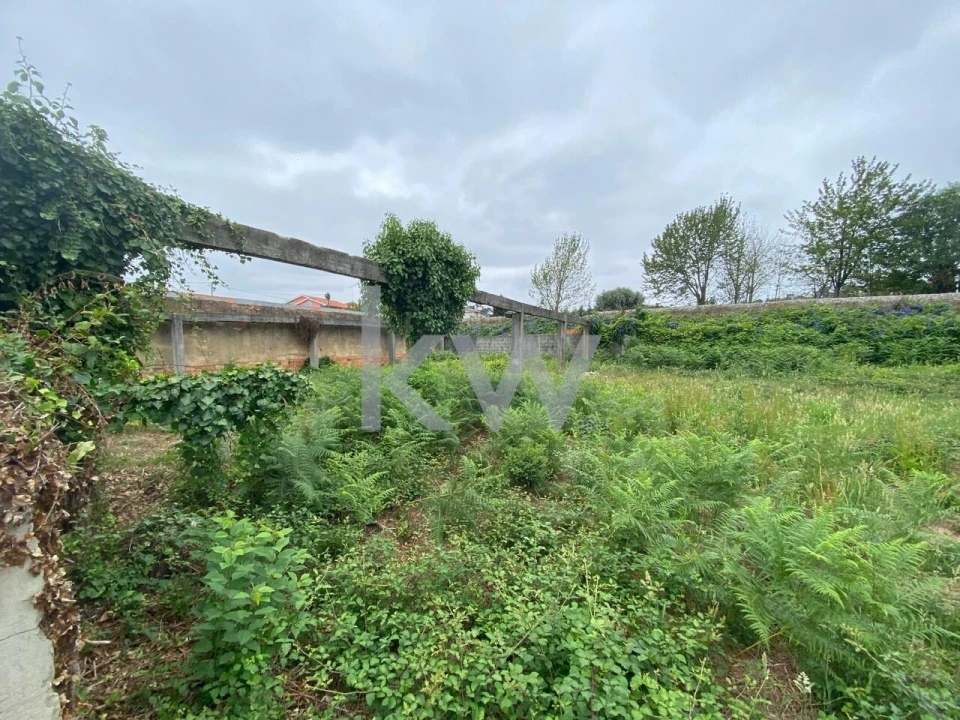 Terreno para Venda em Macinhata do Vouga Foto 10