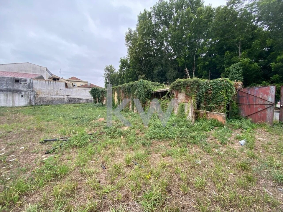 Terreno para Venda em Macinhata do Vouga Foto 7