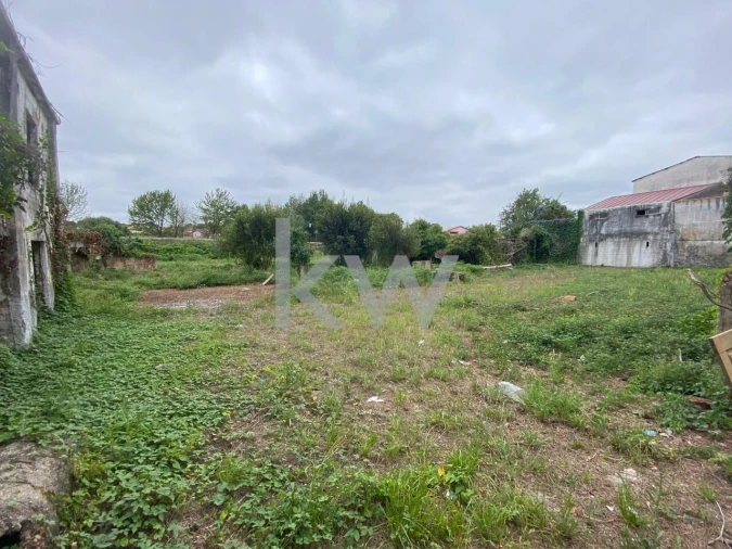 Terreno para Venda em Macinhata do Vouga Foto 5