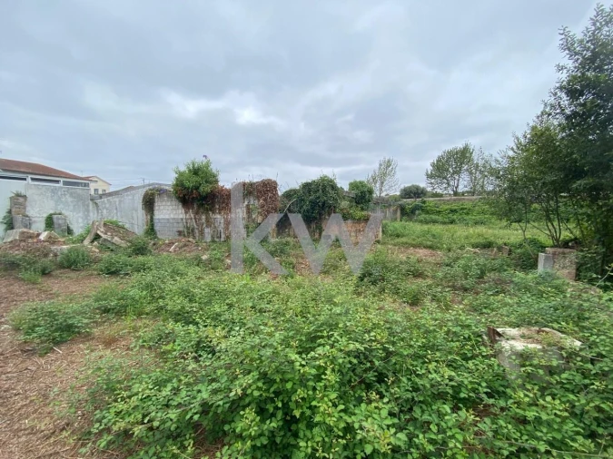 Terreno para Venda em Macinhata do Vouga Foto 9