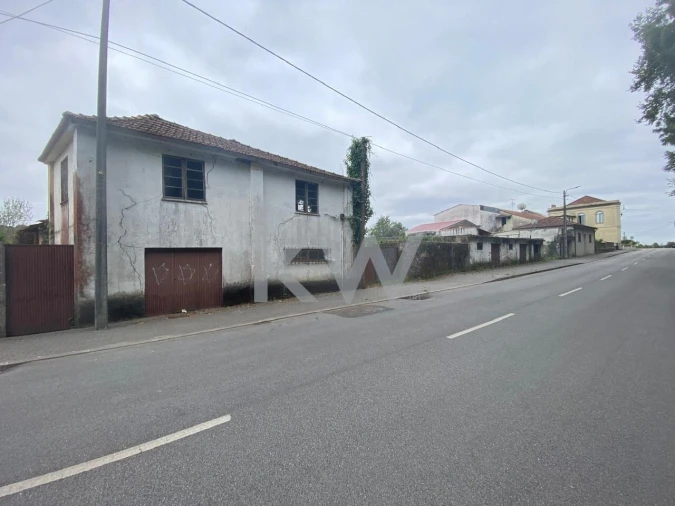 Terreno para Venda em Macinhata do Vouga Foto 4