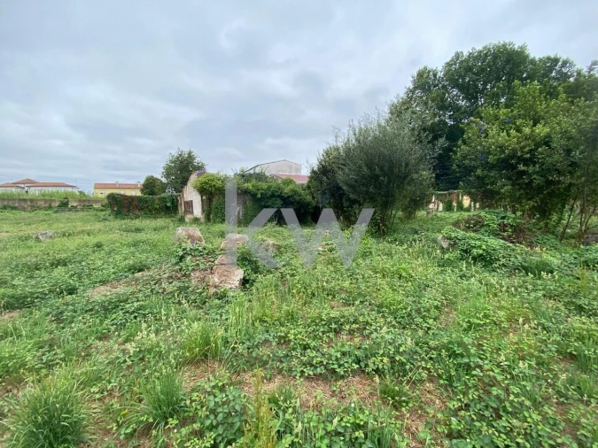 Terreno para Venda em Macinhata do Vouga Foto 13