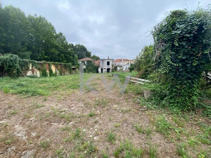 Terreno para Venda em Macinhata do Vouga Foto 21