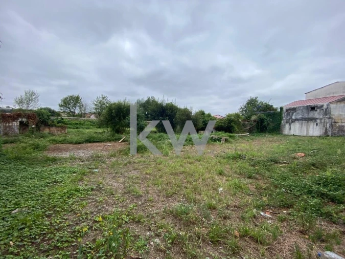 Terreno para Venda em Macinhata do Vouga Foto 6