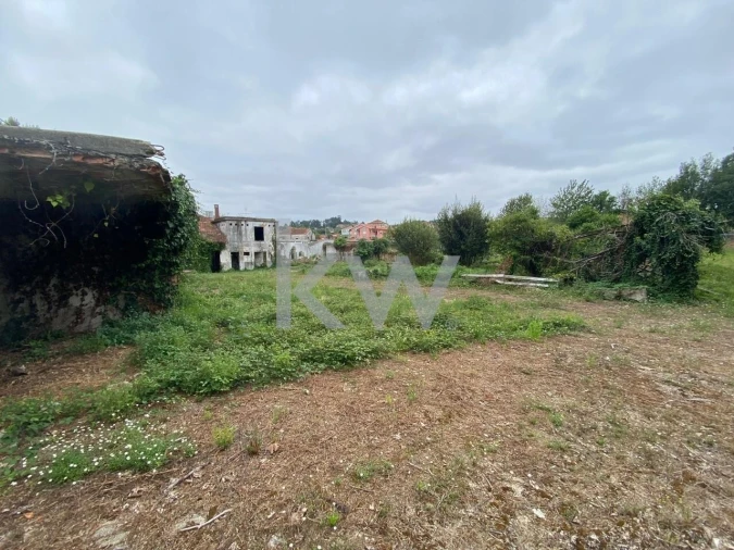 Terreno para Venda em Macinhata do Vouga Foto 23