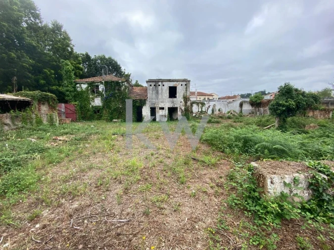 Terreno para Venda em Macinhata do Vouga Foto 24