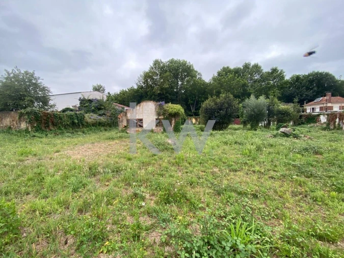 Terreno para Venda em Macinhata do Vouga Foto 14