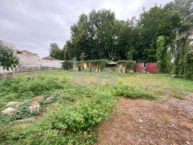 Terreno para Venda em Macinhata do Vouga Foto 8