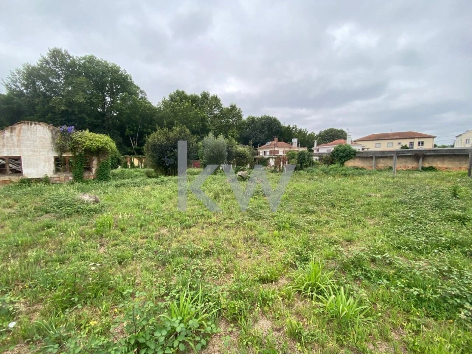 Terreno para Venda em Macinhata do Vouga Foto 15