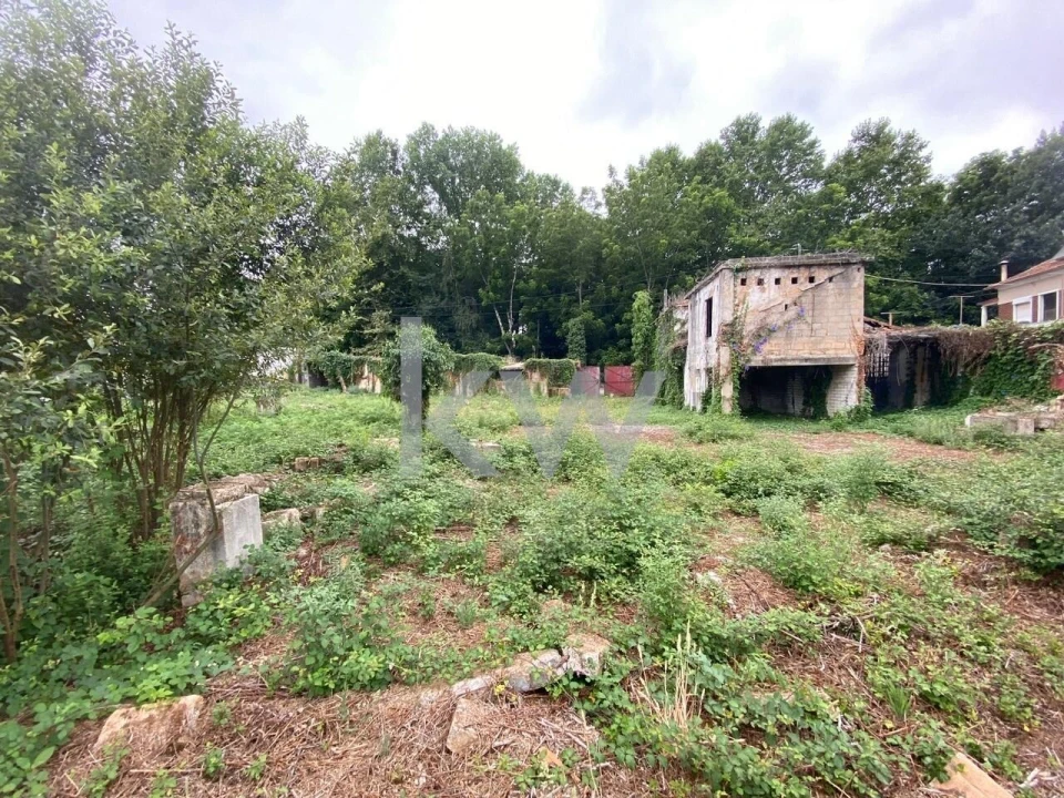 Terreno para Venda em Macinhata do Vouga Foto 12