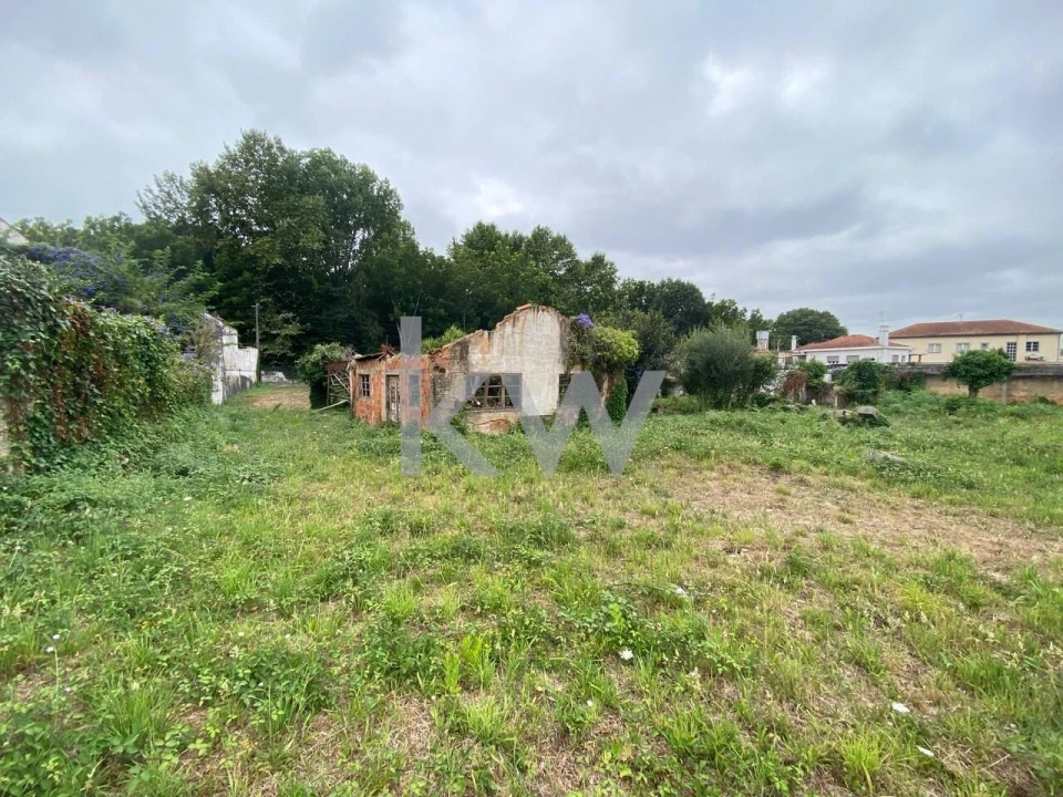 Terreno para Venda em Macinhata do Vouga Foto 19