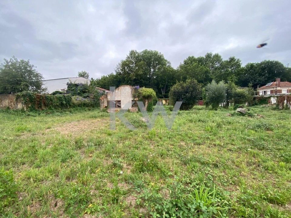 Terreno para Venda em Macinhata do Vouga Foto 14