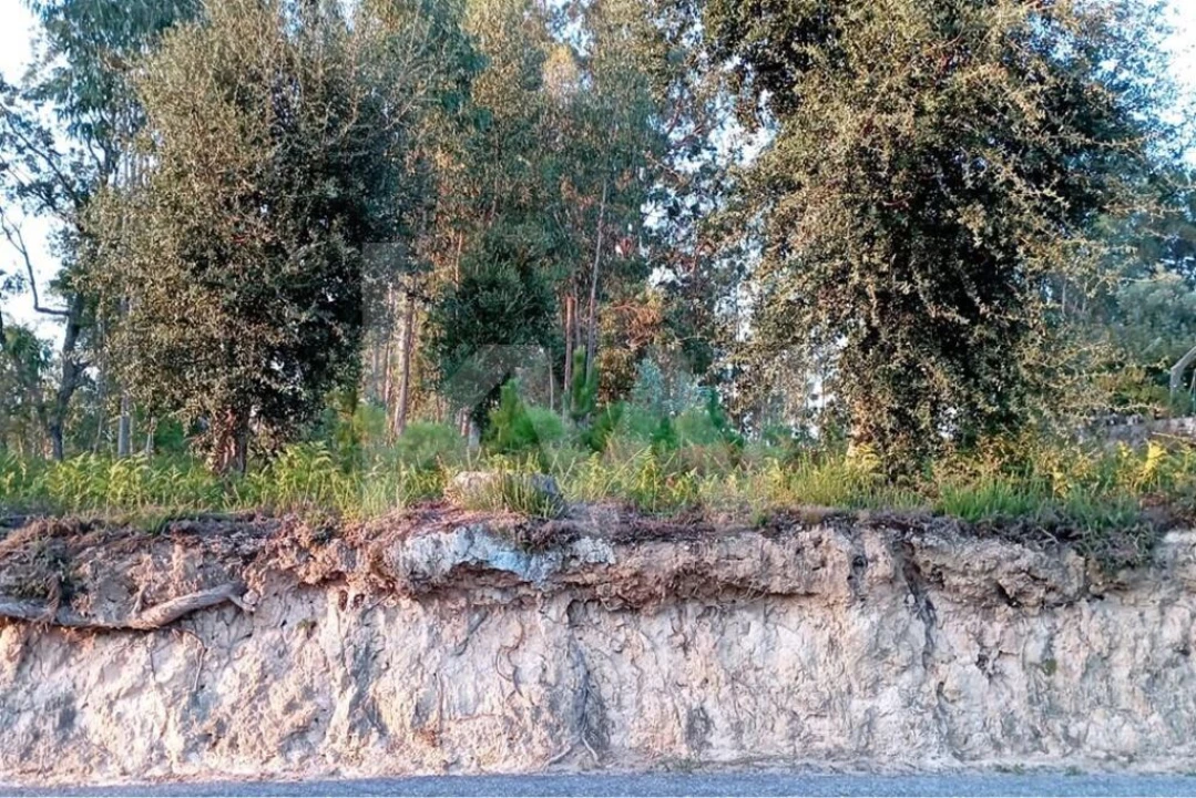 Terreno para Venda em São Miguel do Souto e Mosteirô Foto 6