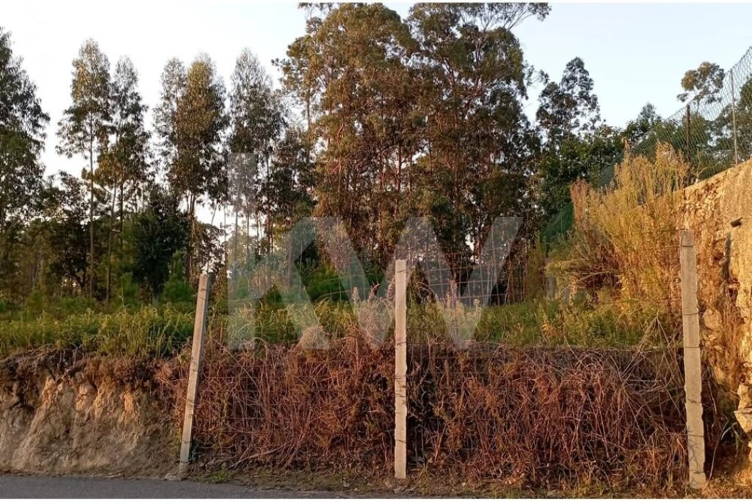 Terreno para Venda em São Miguel do Souto e Mosteirô Foto 8