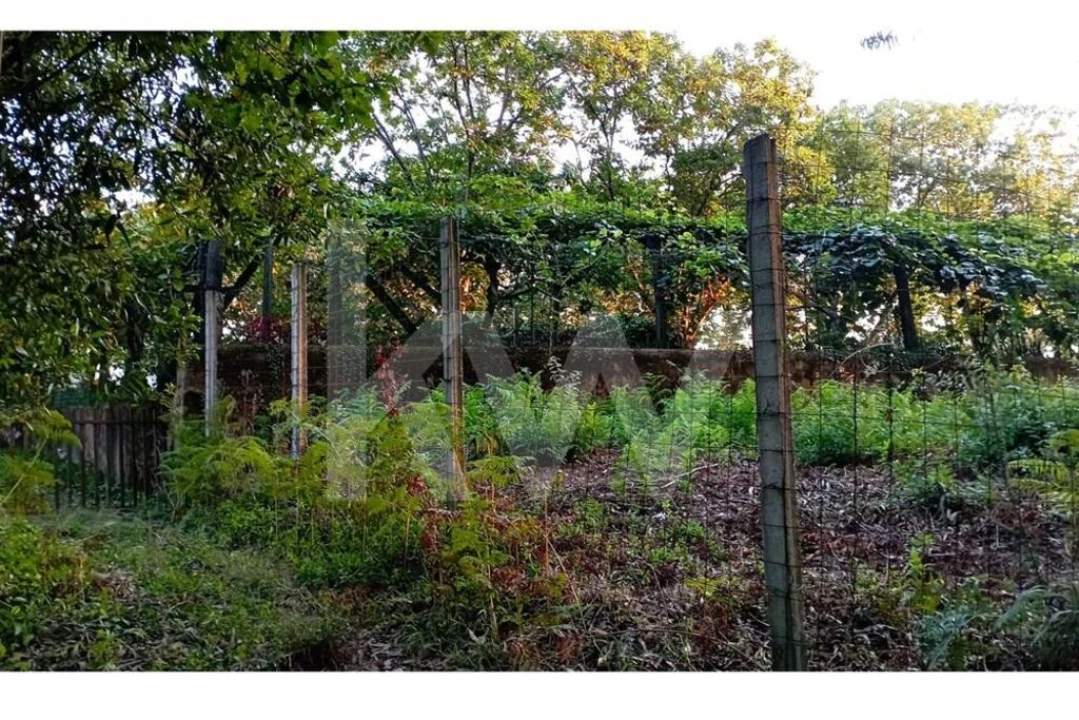 Terreno para Venda em São Miguel do Souto e Mosteirô Foto 9