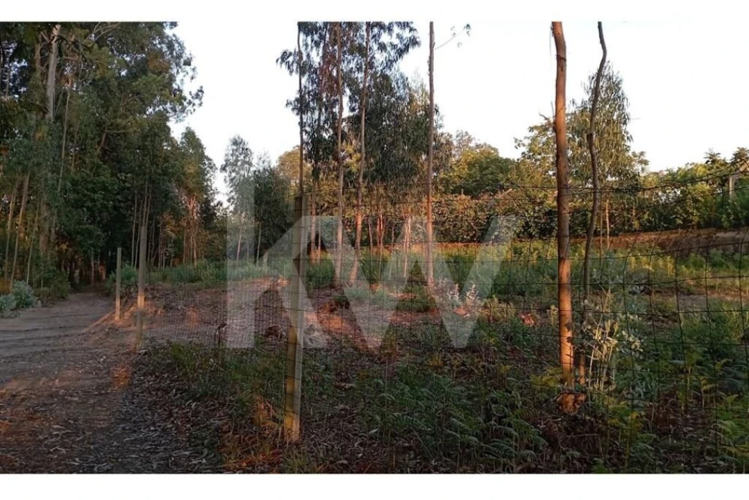 Terreno para Venda em São Miguel do Souto e Mosteirô Foto 12