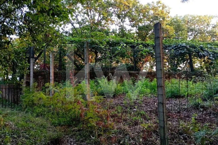Terreno para Venda em São Miguel do Souto e Mosteirô Foto 10