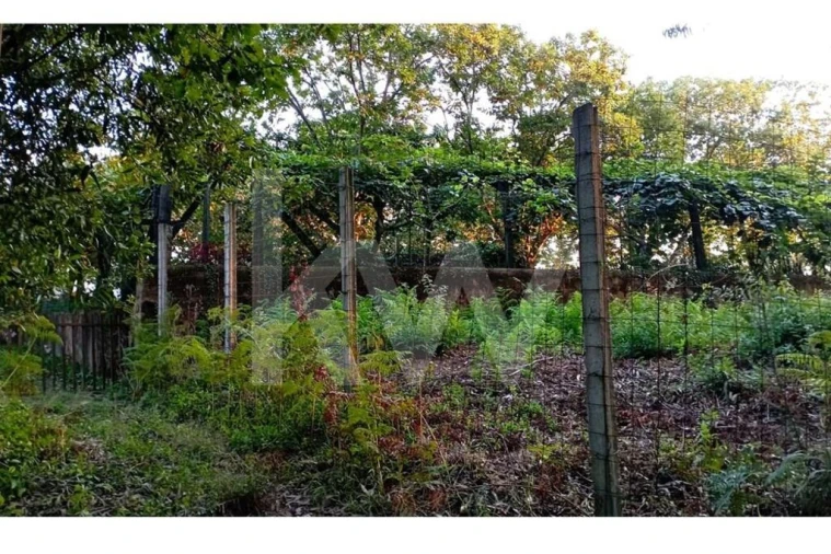 Terreno para Venda em São Miguel do Souto e Mosteirô Foto 9