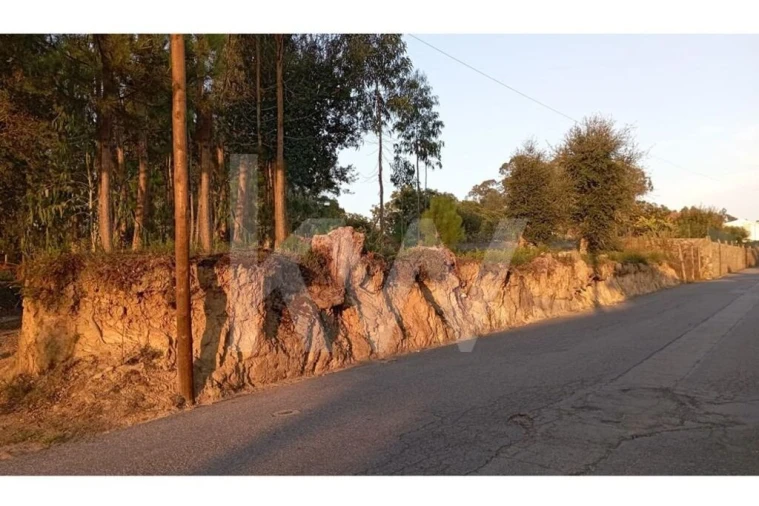 Terreno para Venda em São Miguel do Souto e Mosteirô Foto 3