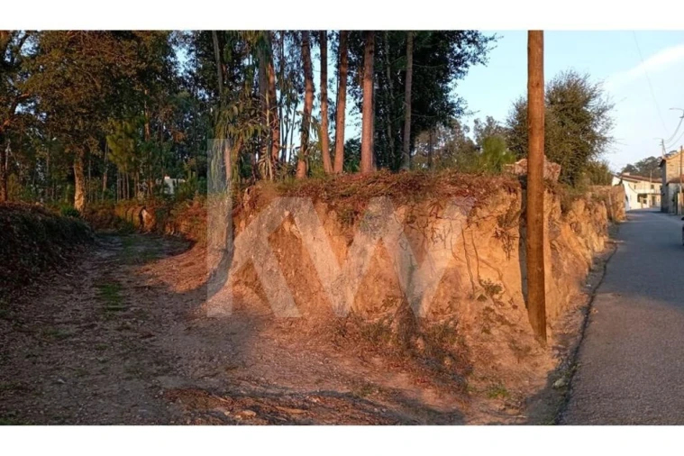 Terreno para Venda em São Miguel do Souto e Mosteirô Foto 5