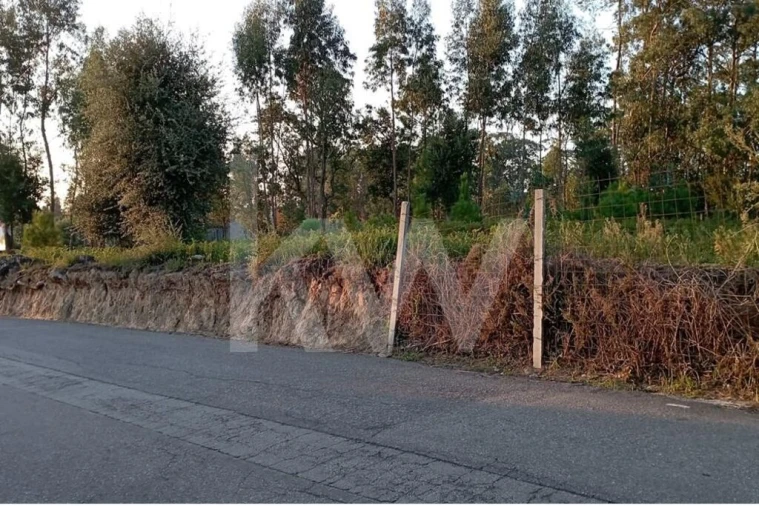 Terreno para Venda em São Miguel do Souto e Mosteirô Foto 7